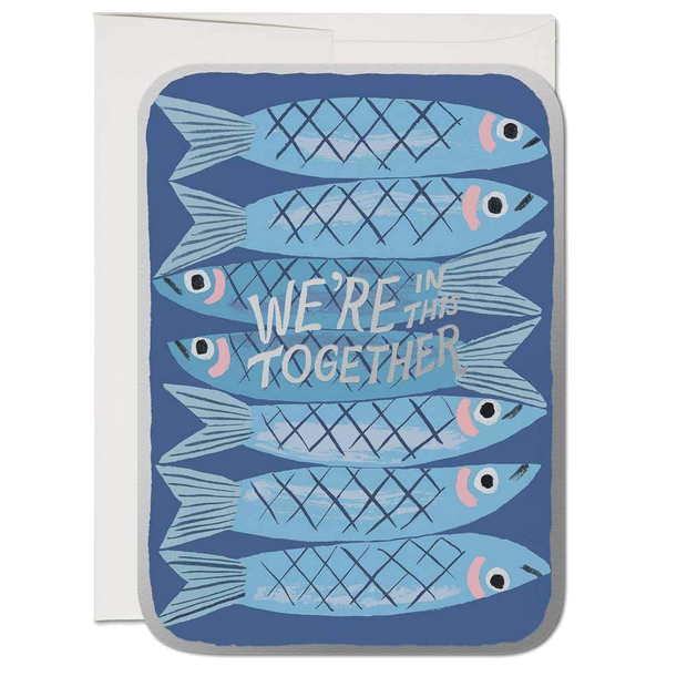 Red Cap Cards - Sardines