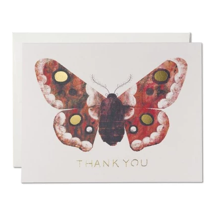 Red Cap Cards - Moth