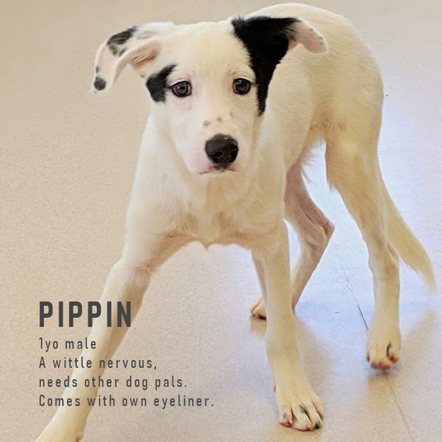 Puppy Love Lip Balm